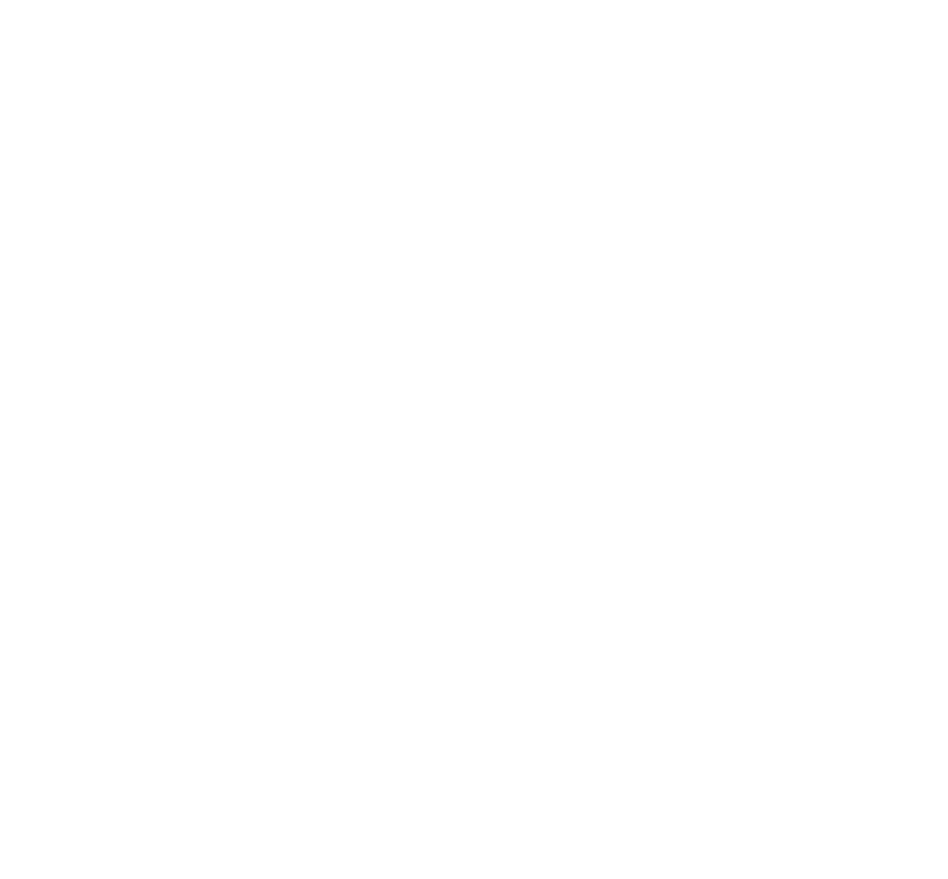 Rochester Top 100